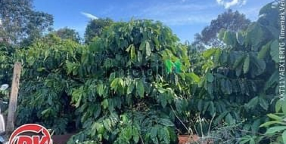 Bán đất thổ cư: Đất hẻm 23 Hoàng Văn Thái Phường Pleiku Gia Lai