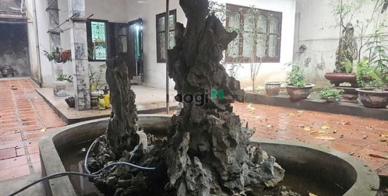 Bán đất thổ cư: Bán đất xây Chung cư mini tại Thanh Lương, Hai Bà Trưng 124 triệ