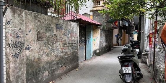 Bán đất thổ cư: Bán cả 3 lô đất Kim Ngưu liền kề nhau, 2 mặt ngõ, mỗi lô 64.3m2,