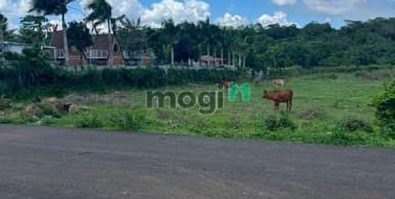 Bán đất thổ cư: Chính Chủ Bán Đất 12.739m2 Thị Trấn Ngãi Giao, Xã Bàu Chinh, Châ