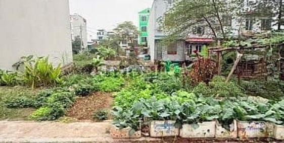 Bán đất thổ cư: Bán gấp lô đất tt hoà lạc,137m,sát đh quốc gia,đh fpt,cnc, trục