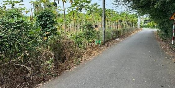 Bán đất thổ cư: đất mặt tiền đường nhựa bề ngang 30 mét có thổ cư khu dân cư ổn 