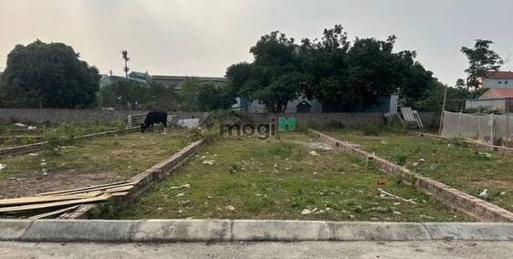 Bán đất thổ cư: Bán đất đẹp, phú nghĩa, minh phú, sóc sơn giá chốt 20tr