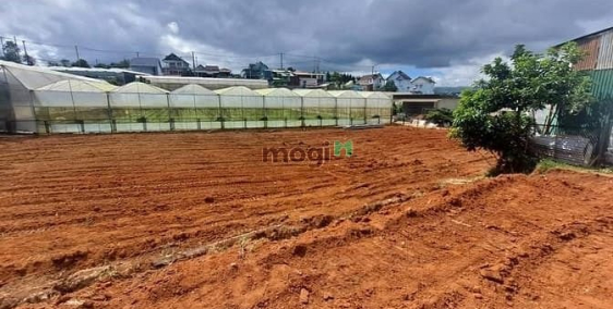 Bán đất thổ cư: CẦN TIỀN XOAY CV GIẢM MẠNH 2 TỶ 5 Cần bán gấp lô đất chuyển full