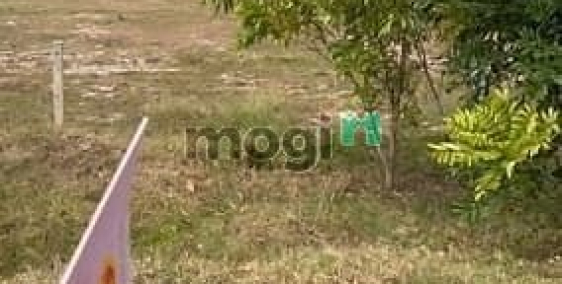 Bán đất thổ cư: Sở Hữu Ngay Đất Mặt Tiền Đt795, Tân Châu, Tây Ninh Cơ Hội Sinh L