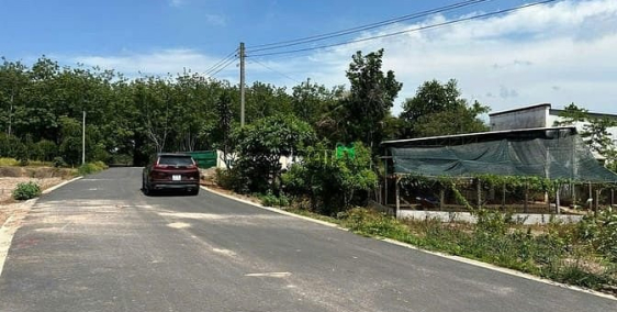 Bán đất thổ cư: Bán Đất Thổ Cư Long Tân Dầu Tiếng 249m Đường Nhựa 6m, Sổ Riêng, 