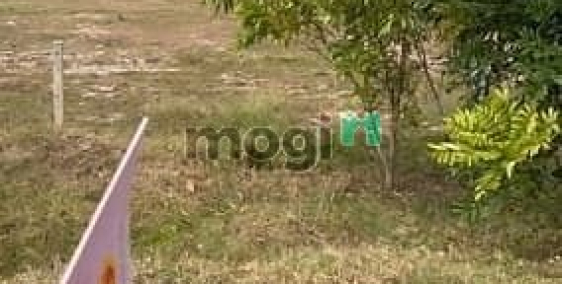 Bán đất thổ cư: Bán Đất Mặt Tiền Đường Đt795, Xã Tân Thành, Huyện Tân Châu, Tây 