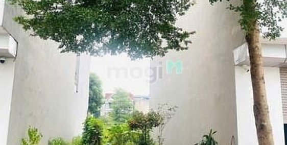 Bán đất thổ cư: Đất Gần Biển-Thị trấn quất lâm- Hạ tầng đang lên- Giá nhỉnh 1 tỷ