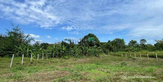 Bán đất thổ cư: Đất ngộp giá rẻ chưa từng có sẵn thổ cư ven suối sát SB Long Thà