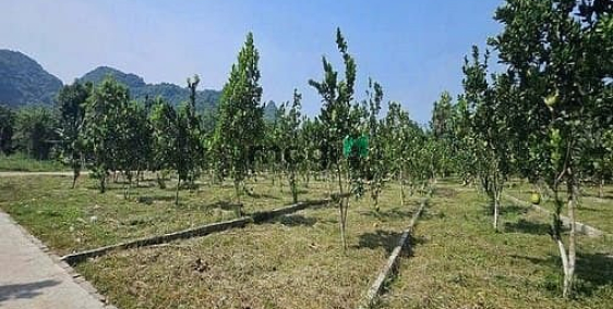 Bán đất thổ cư: Bán đất nền dự án tại Xã Bảo Hiệu, Yên Thủy, Hòa Bình 148m2