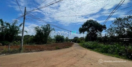 Bán đất thổ cư: Đất Sổ Riêng Thổ Cư Ở Gần Đường TL 769. Giá 440Tr.