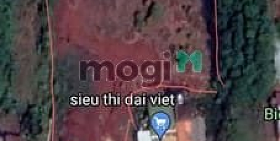 Bán đất thổ cư: Đất Mặt tiền Quốc Lộ 13 xã Lộc Tấn, Lộc Ninh Bình Phước 5300m2, 