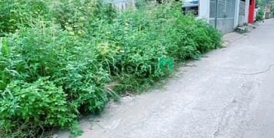 Bán đất thổ cư: Lô đất sát chợ đầu mối Thủ Đức ra nhanh 2tỷ55