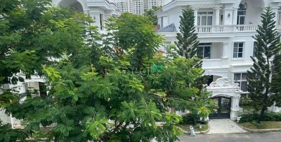 Biệt thự: Cho thuê biệt thự Mỹ Phú 3 nhà đẹp, nội thất đầy đủ chỉ 40 triệu/tháng