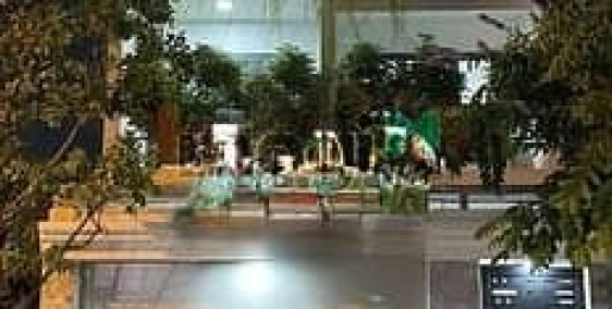 Biệt thự: Biệt thự thang máy 7X20 3Lầu cho thuê đường D3, Phước Long B,  Thủ Đức