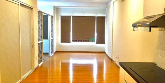 Căn hộ chung cư: Căn Hộ Flora ANH ĐÀO, 55m2, 1PN-2PN Máy Lạnh Bếp Tủ Kệ Hồ Bơi G