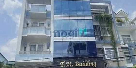 Nhà phố: Tòa Nhà Gần Mặt Tiền Trần Quang Khải Phường Tân Định, Quận 1.