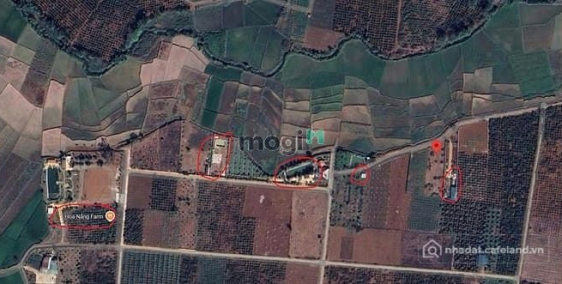 Bán đất nông, lâm nghiệp: BÁN ĐẤT hẻm Lê Văn Sỹ, Phường Thống Nhất, Pleiku gia L