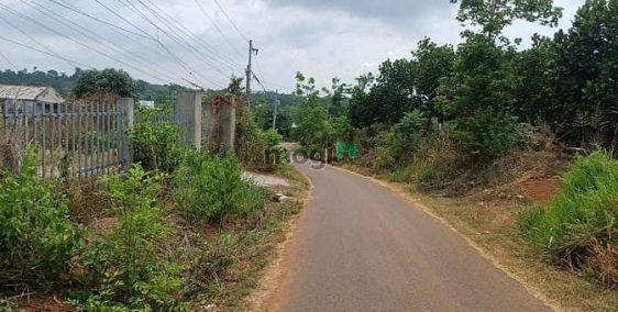 Bán đất nông, lâm nghiệp: Bán Đất Nông Nghiệp , Xã Lâm San, Huyện Cẩm Mỹ, Tỉnh Đ