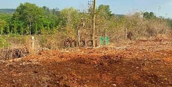 Bán đất nông, lâm nghiệp: Bán Đất Bà Rịa  Vũng Tàu, Huyện Châu Đức