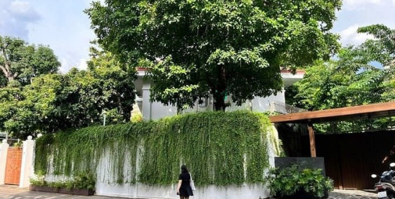 Nhà phố: Cho Thuê Biệt Thự Mặt Tiền Đường 63C1 Trần Quốc Thảo, Quận 3