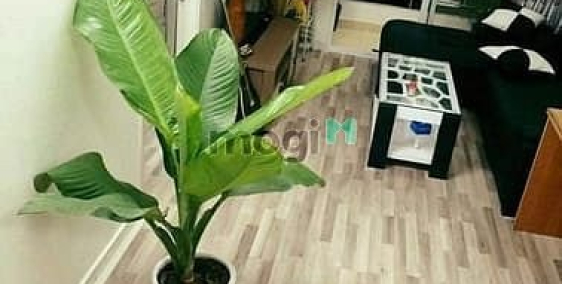 Căn hộ chung cư: Chung cư Tecco, Phan Văn Hớn, Q12: 65m2, 2p ngủ, 2wc, ban công,