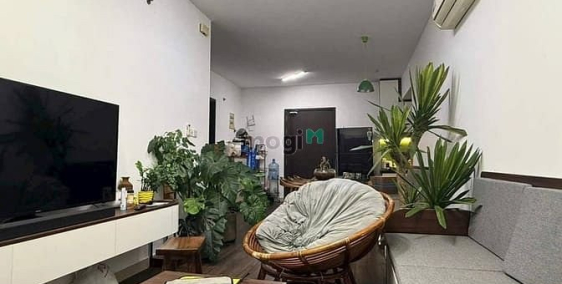 Căn hộ chung cư:  Celadon City – Cho thuê căn hộ 2PN, nội thất cơ bản