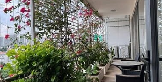 Căn hộ chung cư:  Cho thuê căn hộ Garden Plaza 1 – Block C Tầng 8 • Hướng biệt 