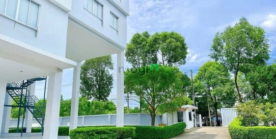 Căn hộ chung cư: Cho Thuê Chung Cư – NGẮN NGÀY & DÀI NGÀY**