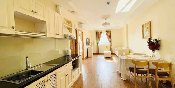 Căn hộ chung cư: cho thuê nhanh căn hộ hiếm khi trống tại thảo điền cho nuôi cún