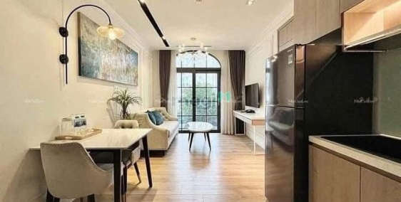 Căn hộ chung cư: Khai trương CHDV mới 1 Phòng Ngủ+1 Phòng Khách gần cầu Công Lý