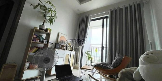 Căn hộ chung cư: Chung cư Ruby Garden, Nguyễn Sỹ Sách, P15, TB, 55m2, 1PN, NT, 8