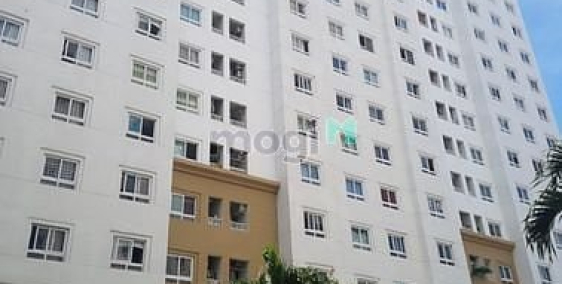 Căn hộ chung cư: Cho thuê căn hộ Topaz Garden, DT 64m2, 2PN, NT cơ bản, giá 8,5t