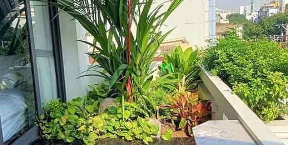 Nhà hàng - Khách sạn: Căn hộ 45m2 1pn full nội thất Lê Văn Sỹ - Q3