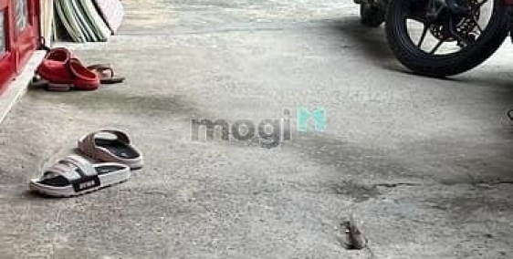 Bán nhà riêng: Quận 7 bán nhà sổ hồng ngang 3 có 2 phòng ngủ gần cầu Phú Mỹ, 2.x