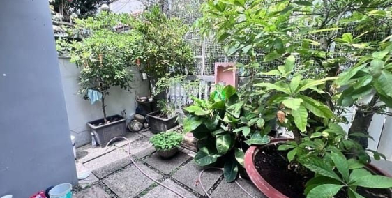 Bán nhà riêng: bán nhà nguyễn trọng tuyển 10x20 giá 37 tỷ thương lượng