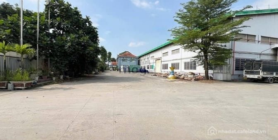 Nhà Kho - Xưởng: Cho thuê kho SIÊU PHẨM 7.500m2 trong KCN Cát Lái, P. Cát Lái, T
