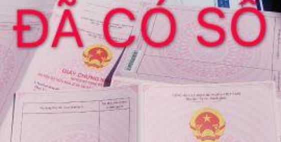 Đất Sổ Hồng Công chứng ngay, 1000m2 Giá Chỉ 550 triệu Nhanh tay sở hữu