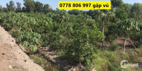 Cần tiền xây nhà nên bán đất tại đức hòa hạ giá rẻ đường Ba Ngừa giá 1 tỷ