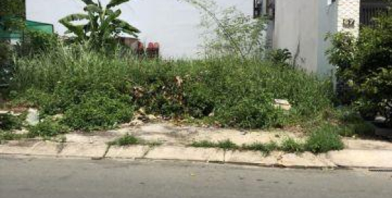 [CẦN BÁN] lô đất mặt tiền đường tỉnh lộ 824. Trong trung tâm hành chính đức hòa.