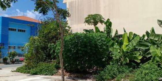 Cần tiền bán gấp [650tr/ lô 5x24] – Mặt tiền TL 10, cách Cầu Bà Lát 5p xe máy!!