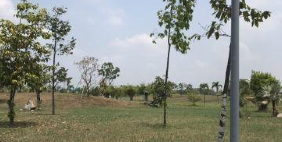 Kẹt tiên nên bán gấp miếng đất 150m2 xây trọ gần kcn Cầu Tràm, sổ riêng