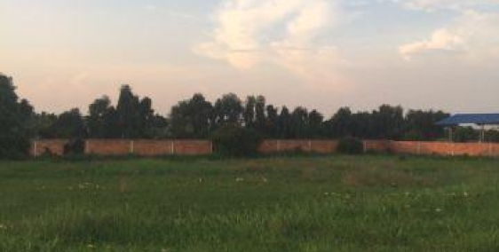 Bán 1900m2 Đất Vườn Mặt Tiền Cầu Cây Xanh  Bình Mỹ