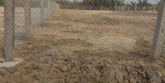 1400m2 đất CLN giá hạt dẻ 6tr/m2 MT Phạm Hữu Lầu , Phước Kiển , Nhà Bè