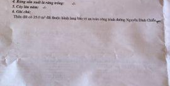 tôi bán lô đất mặt đường Nguyễn Đình Chiểu, Mũi Né, TP Phan Thiết DT 172m2