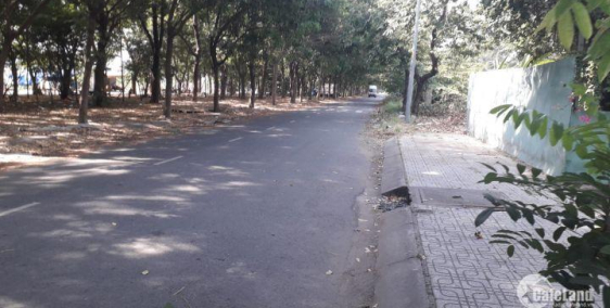 Cần nhượng lại 2 lô gốc và 6 lô MT 16m Nguyễn Thị Định, SHR