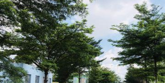 Giá cập nhật tháng 5 dự án thời báo , p Phú hữu quận 9, giá tốt