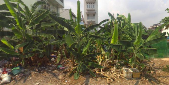 Bán lô đất thổ cư 52m2 đường số 12, tam bình , thủ đức