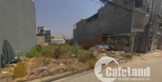 ĐẤT THỦ ĐỨC ĐƯỜNG SỐ 8 HIỆP BÌNH 60M2 THỔ CƯ 100%