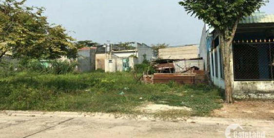 Nhà tôi cần bán gấp 300m2 ở Bình Dương với giá 690tr, thổ cư 100%, SHR